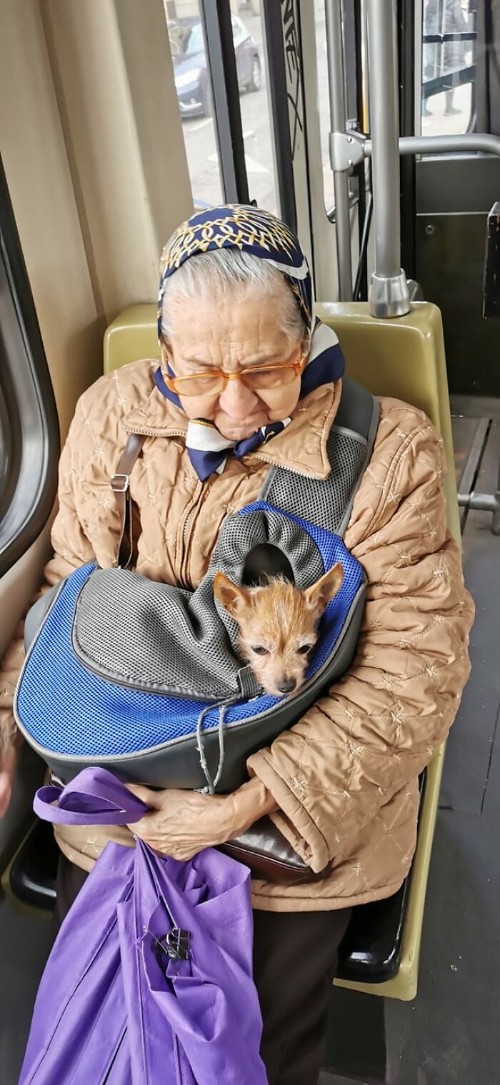 Permítame presentarle a Natalie y a su dueña, la anciana más simpática, que simplemente me dijo, cuando me quedé mirando al perrito en el tranvía: "¡Puedes acariciarla!"