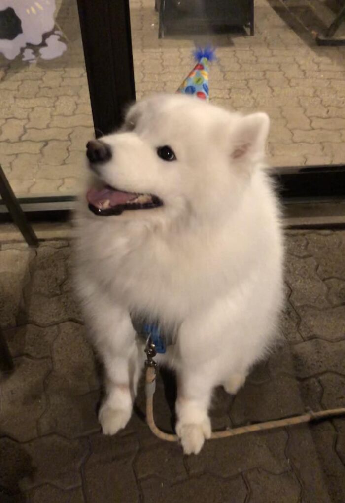 ¡Esta noche conocí a una nube en el karaoke! ¡Feliz 4º cumpleaños Arrow!