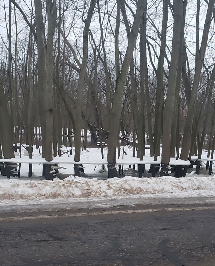 Este río que me rodea se desbordó, se congeló y cuando el agua volvió a su lugar fue dejando estas capas de hielo entre los árboles 