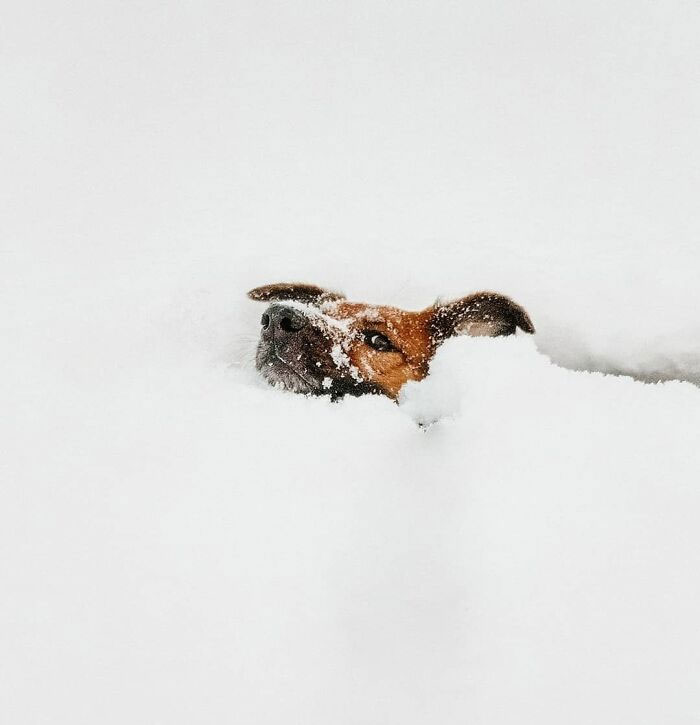 La semana pasada la nieve llegó a los 50 cm en Nueva York, pero igual él estaba decidido a jugar 