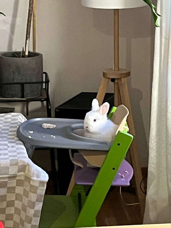  No está contenta con el servicio de este lugar 