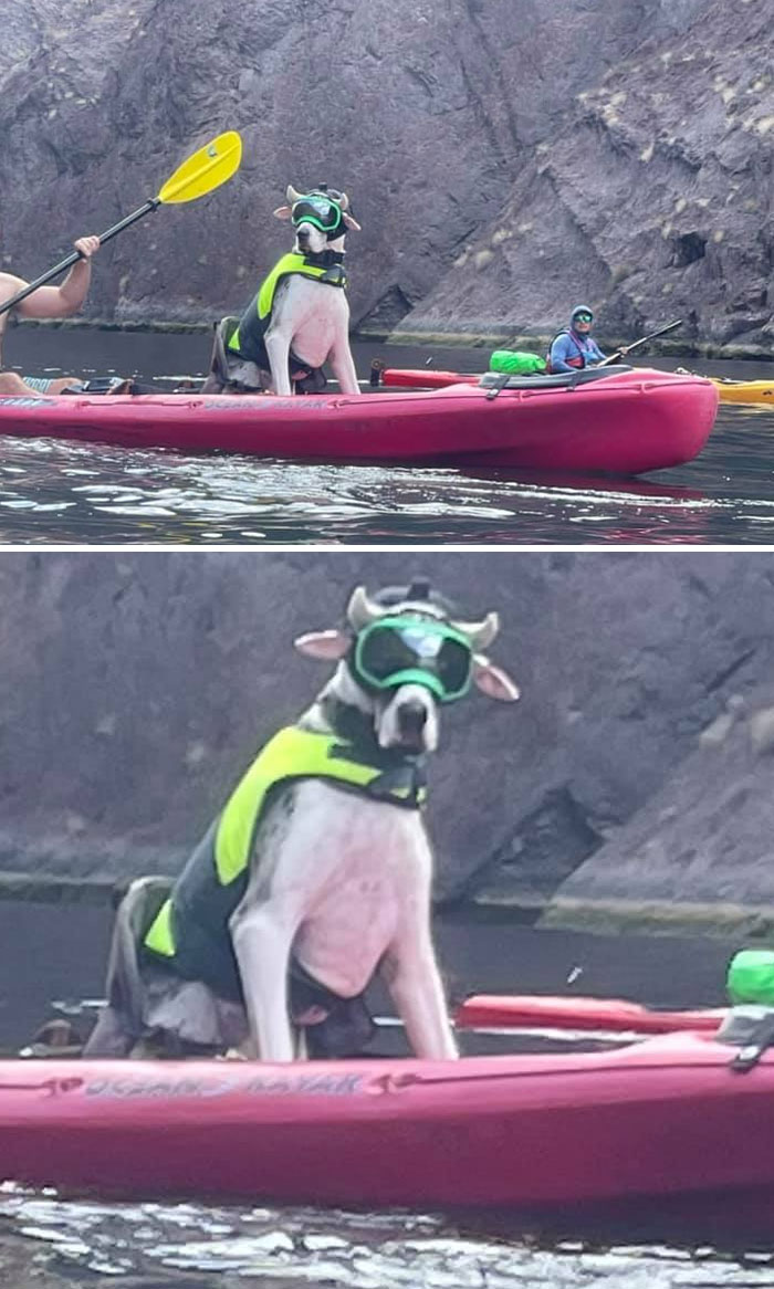 De paseo en Kayak