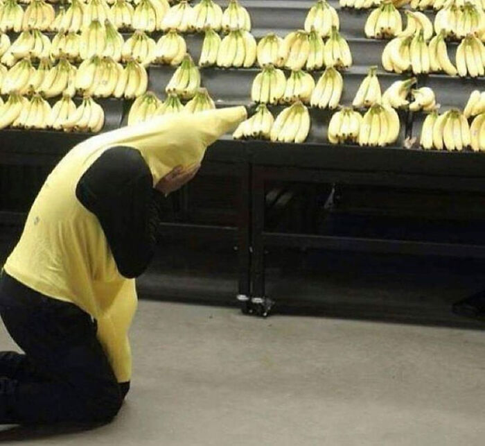 “Humans Doing Human Things”: 50 Pics That Showcase The Weird And Chaotic Side Of Humanity (New Pics)