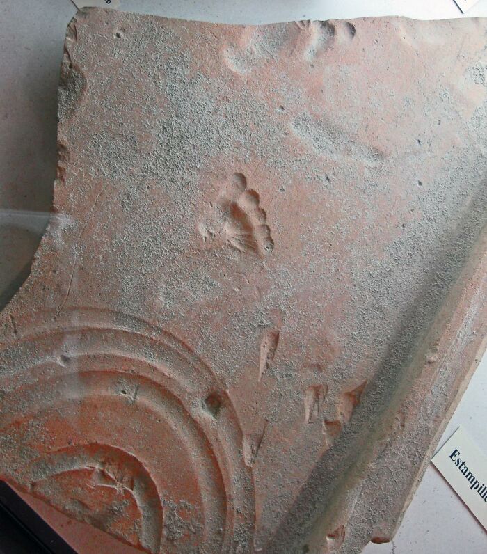 La huella de un niño romano en una baldosa de arcilla roja, impresa mientras se secaba hace aproximadamente 2000 años
