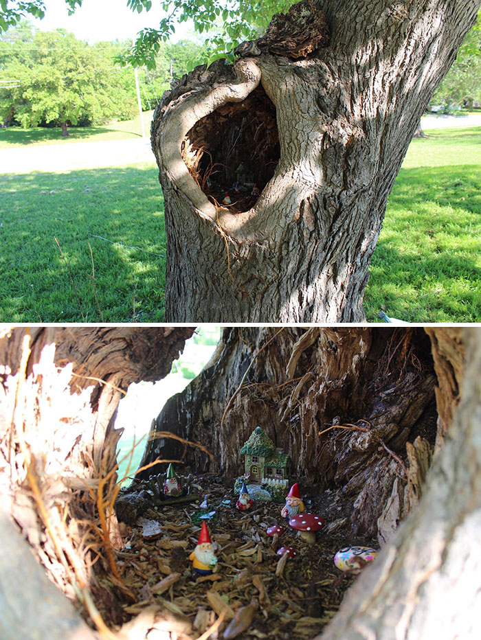 Encontré un árbol genial en mi parque local y sentí que necesitaba algo de magia