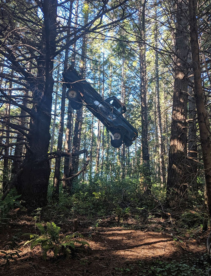 No tengo una buena explicación para esto. Encontrado en un bosque profundo, a seis metros en el aire, y empalado en un árbol. A horas de las carreteras principales