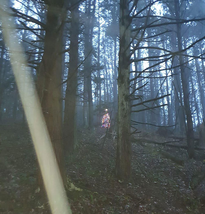 Un espeluznante árbol de Navidad totalmente decorado en medio del bosque. Alimentado por lo que parecían mini paneles solares