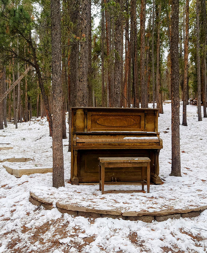 Piano en el bosque