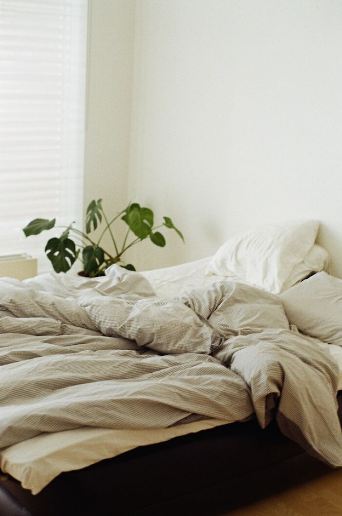“Chicas, ¿qué cosas del apartamento de un chico son señales de alarma?”: 25 mujeres hablan