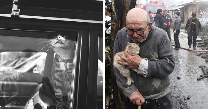 30 Excelentes fotografías tomadas en la calle o en lugares públicos compartidas online