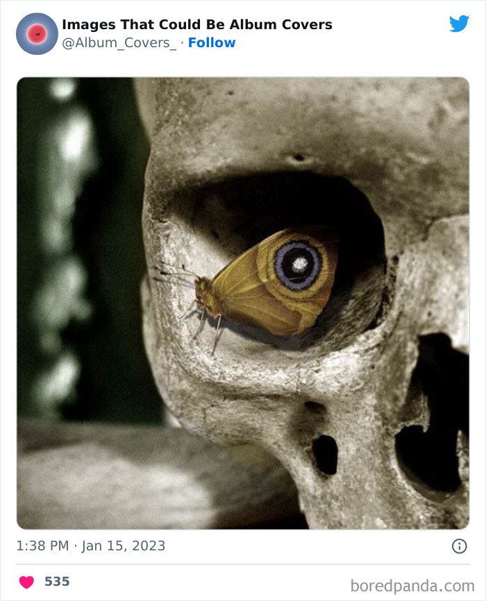 40 Images That Are So Cool And Unusual They Could Totally Work As Album Covers