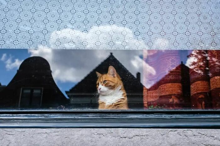 This Belgian Photographer Captures Funny And Extraordinary Scenes Of Everyday Life (30 New Pics)