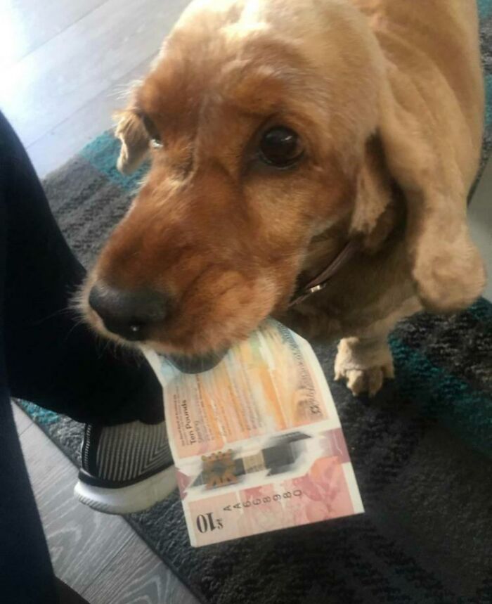 A Honey le gusta traerme regalos cuando llego a casa, hoy se ha superado a sí misma 
