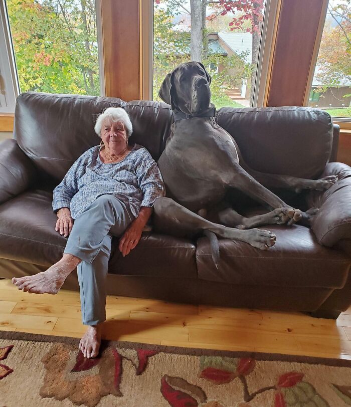 Mi abuela y su gran nieto