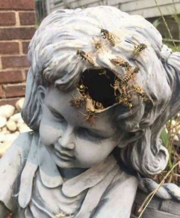 Estatua maldita