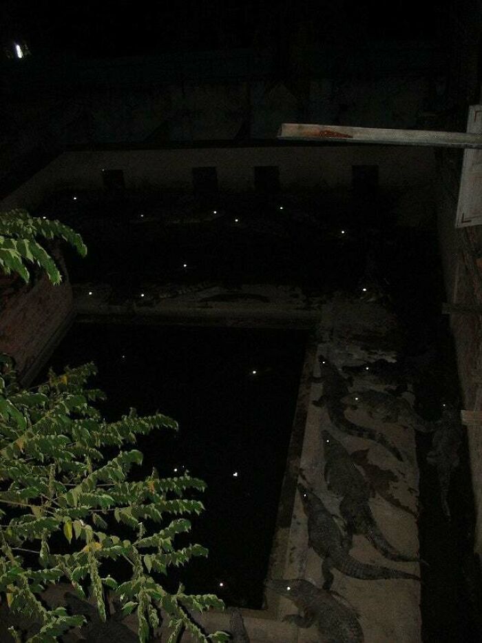 Patio maldito