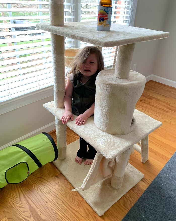 La hija de mi amigo se atascó en nuestra torre para gatos
