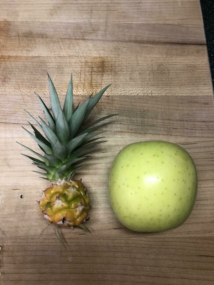 Mi poderosa piña (manzana para la escala. Me quedé sin plátanos)