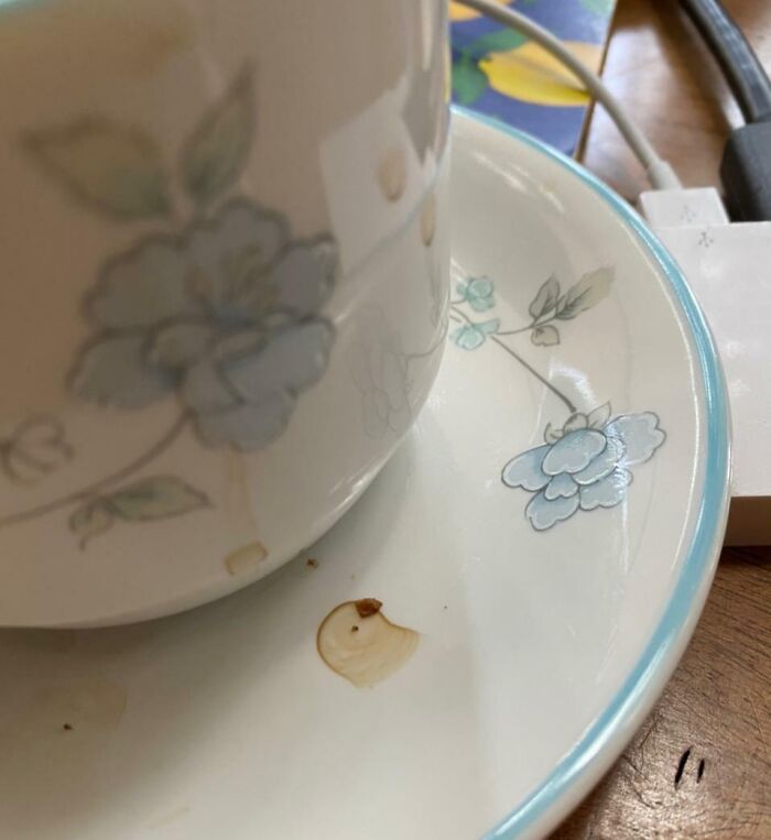 Se me cayó un poco de café y parece un pájaro