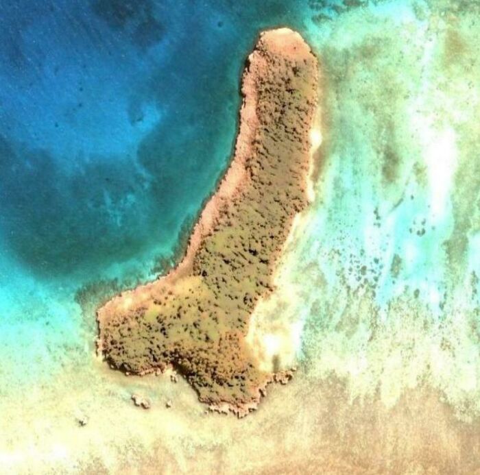 ¿Esto cuenta como raro?