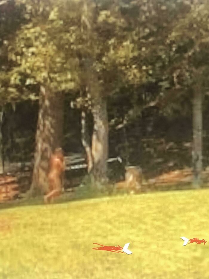 Mirando una casa en Street View que estoy interesado en comprar, encontré un misterioso Big Foot desnudo en Street View
