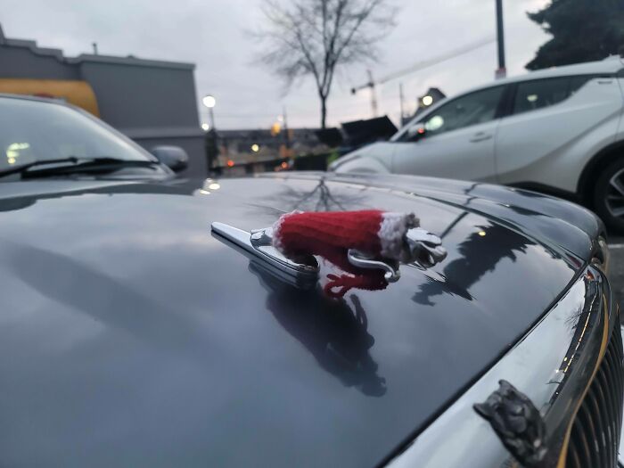 Alguien ha tejido un jersey al emblema de su coche