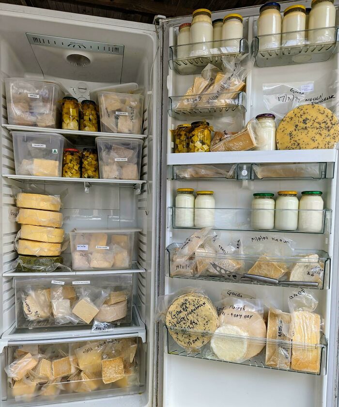Queso casero envejeciendo en una de mis frigoríficos 