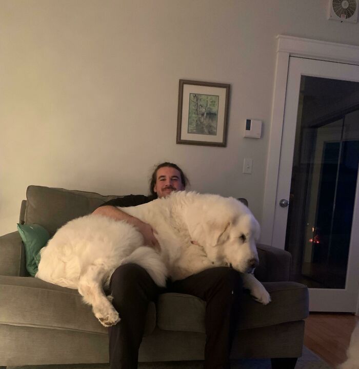 Ya me han dicho muchas veces que mi perro de rescate es una unidad absoluta