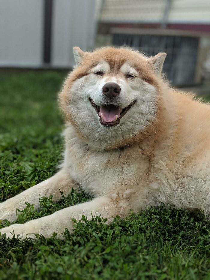 Se hace mayor, pero su sonrisa nunca desaparece