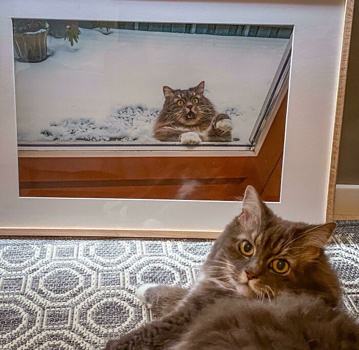 Enmarcando nuestra mejor foto
