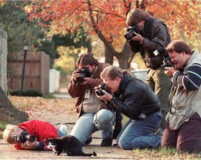 Los paparazzis acosando a “Socks”, el gato de Bill Clinton 