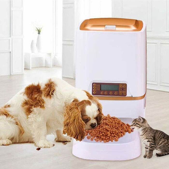 Dispensador de comida para mascotas