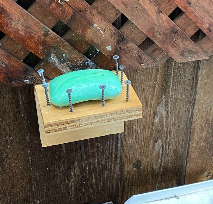 Jabonera en casa de mi amigo