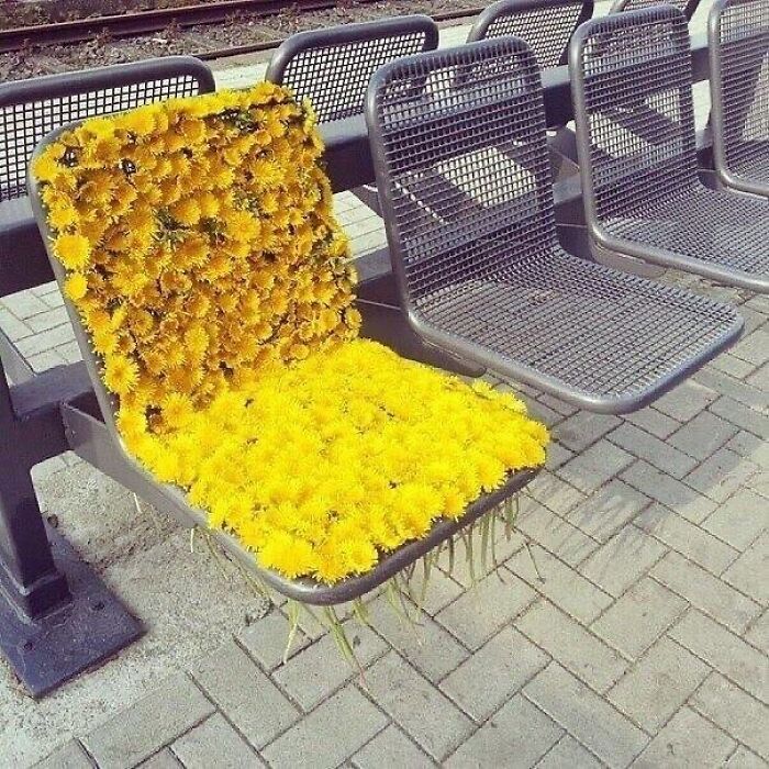 50 Posts By The “Trash & Culture” Instagram Account That May Make You Question Things