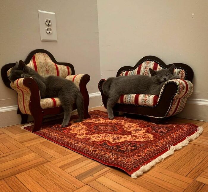50 Posts By The “Trash & Culture” Instagram Account That May Make You Question Things