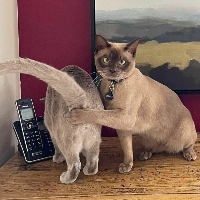 This Instagram Account Shares Pics With Little To No Context, And Here Are 40 Of The Funniest Ones