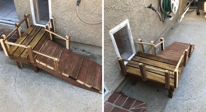 Hice una rampa para la perra, pero supongo que quedó muy mal porque se niega a usarla
