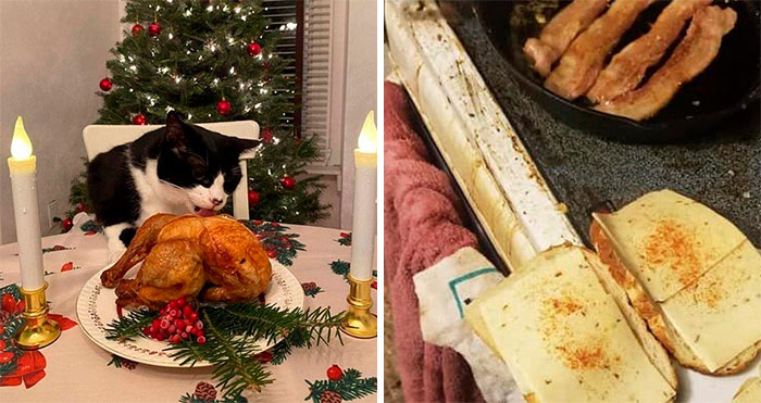 20 Personas tan asqueadas por estas comidas que tuvieron que compartirlas (nuevas fotos)