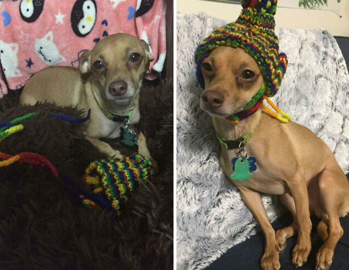 Odia usar este gorrito, pero me lo trae cada vez que me ve triste porque sabe que me hace reír cuando se lo pone 