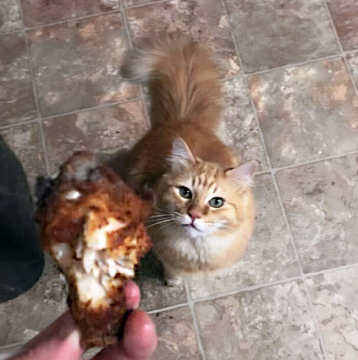 Butters me trajo una alita de pollo de afuera. Todavía está caliente. ¿Dónde lo habrá conseguido? 