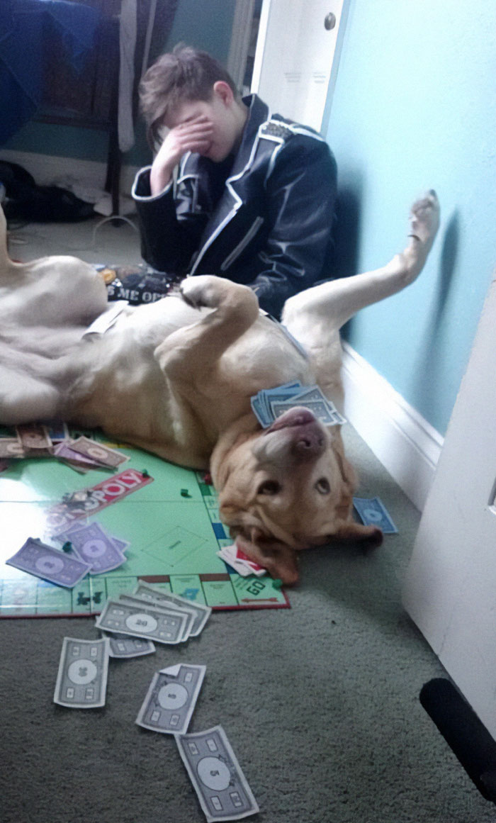 Ser perro en la vida real