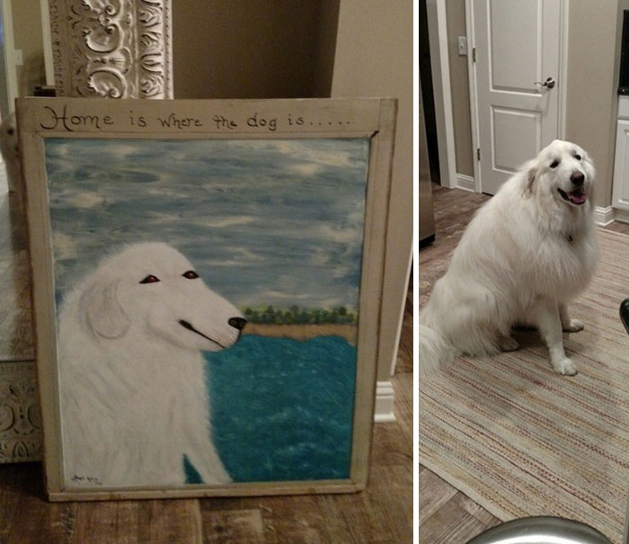 Ser perro en la vida real