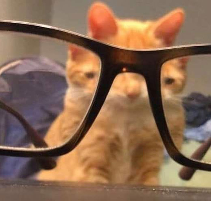 This Facebook Page Shares Random Pics That Are Hard To Explain, Here Are 50 Of The Funniest Ones