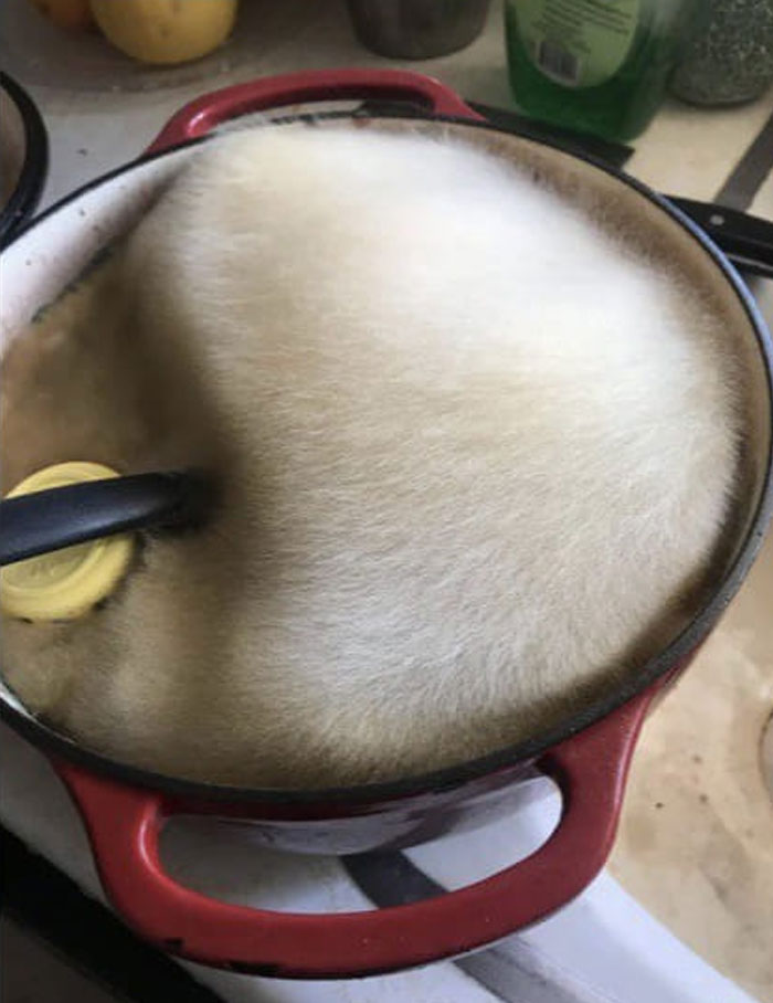 This Facebook Page Shares Random Pics That Are Hard To Explain, Here Are 50 Of The Funniest Ones