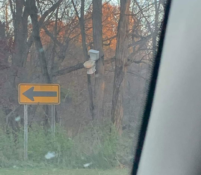 This Facebook Page Shares Random Pics That Are Hard To Explain, Here Are 50 Of The Funniest Ones