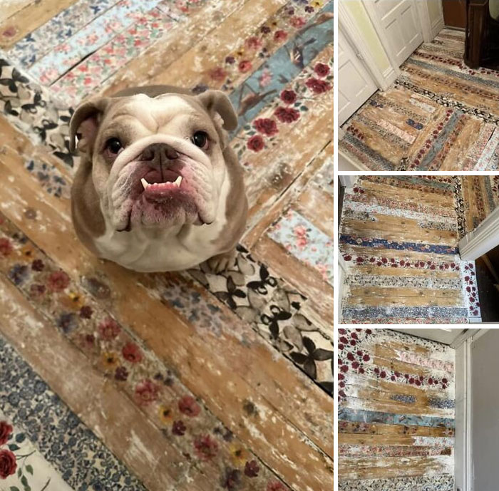 “Queridas personas odiosas”: Nooooooooooooo. El pobre perrito tiene que pisar esa basura