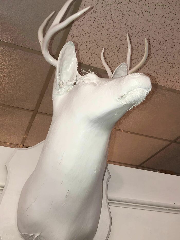  Hoy, fui a una tienda de “antigüedades”. Ya saben a qué tipo me refiero. Todo estaba reciclado y pintado de blanco. Y me refiero a *todo*