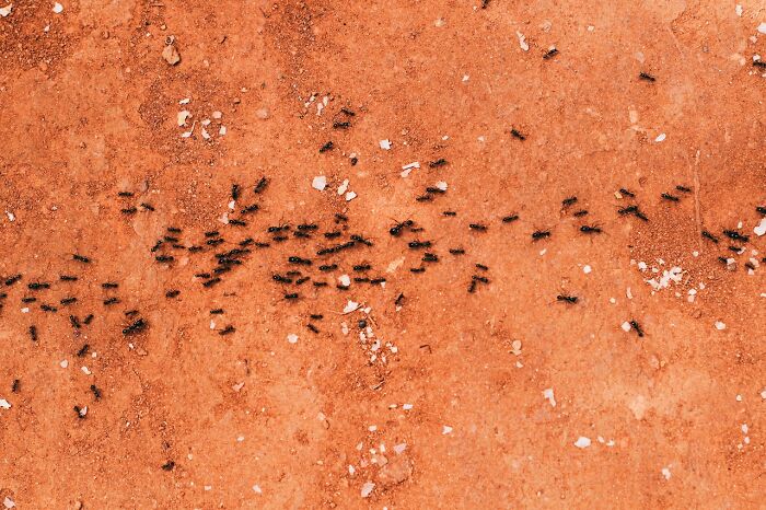 25 Terribles historias de convivencia gracias a compañeros de piso "monstruosos"