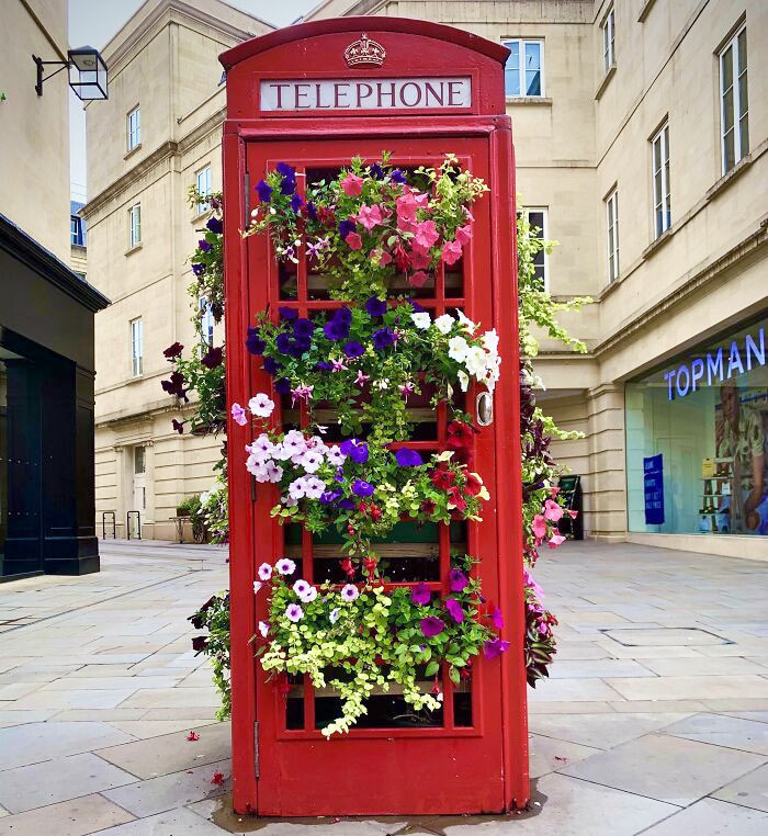 Una vieja cabina de teléfono británica que fue retirada del uso público. Esta, en Bath, fue transformada en un cantero de flores