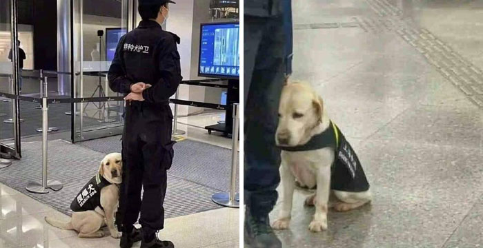 Su primer día de trabajo 